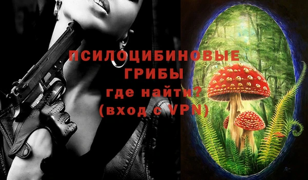 тгк Абинск