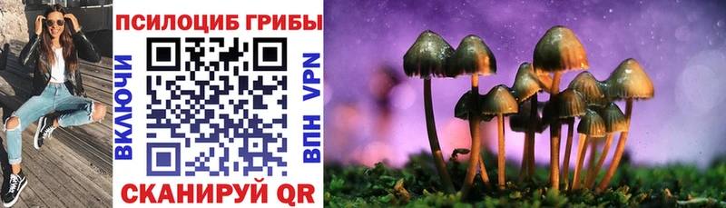 kraken маркетплейс  где можно купить   Дальнереченск  Псилоцибиновые грибы Psilocybe 
